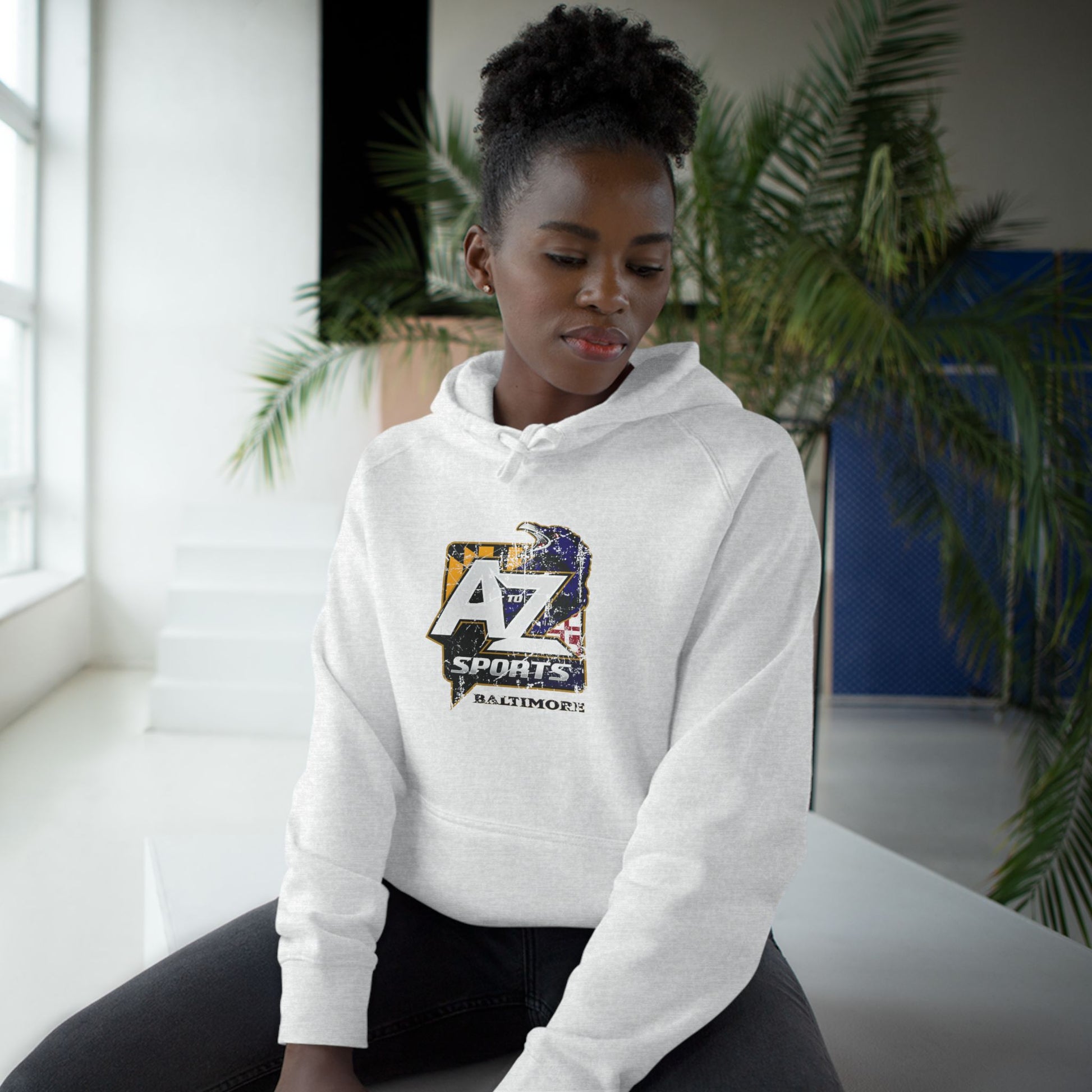 A to Z Sports Ravens Hoodie