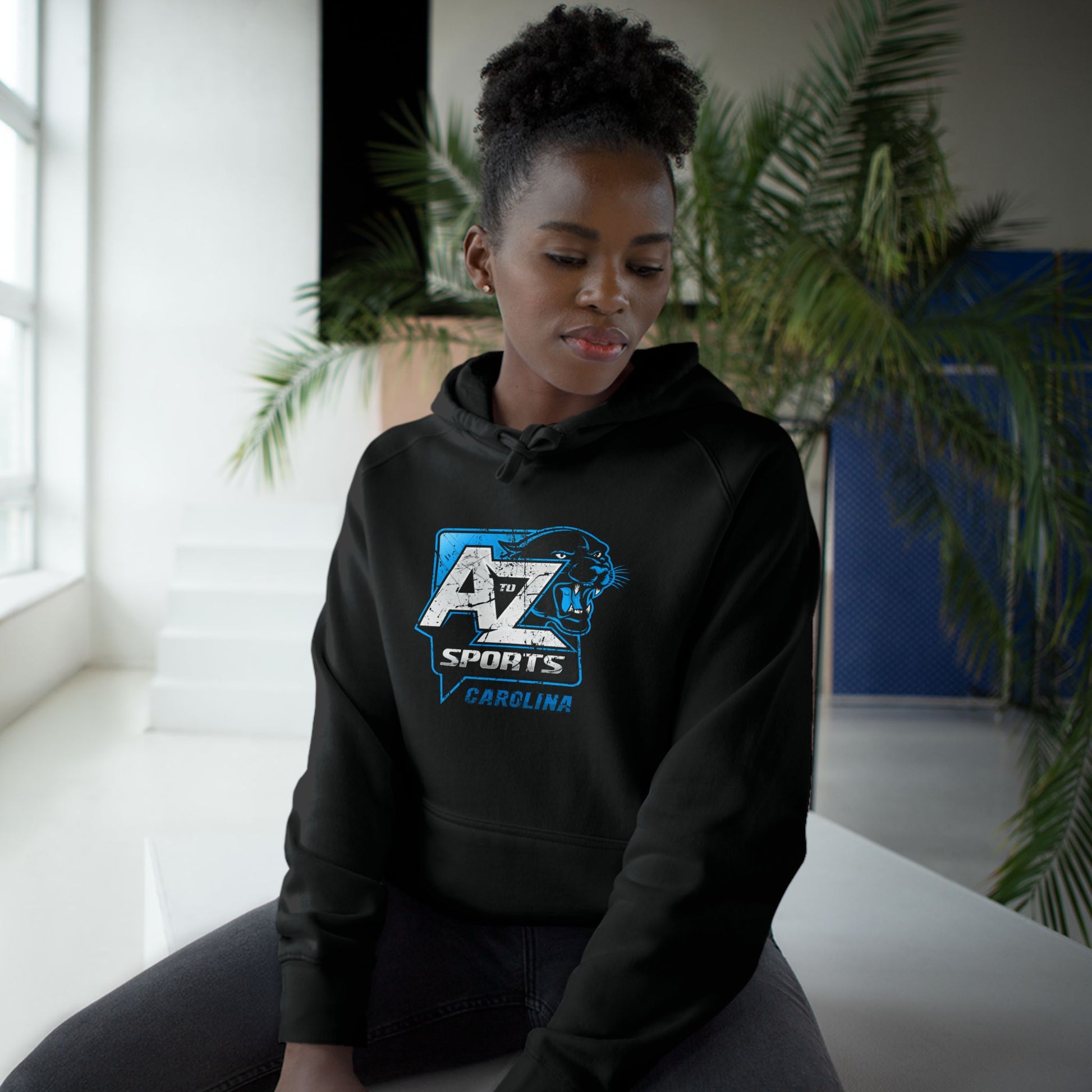 A to Z Sports Panthers Distressed Hoodie