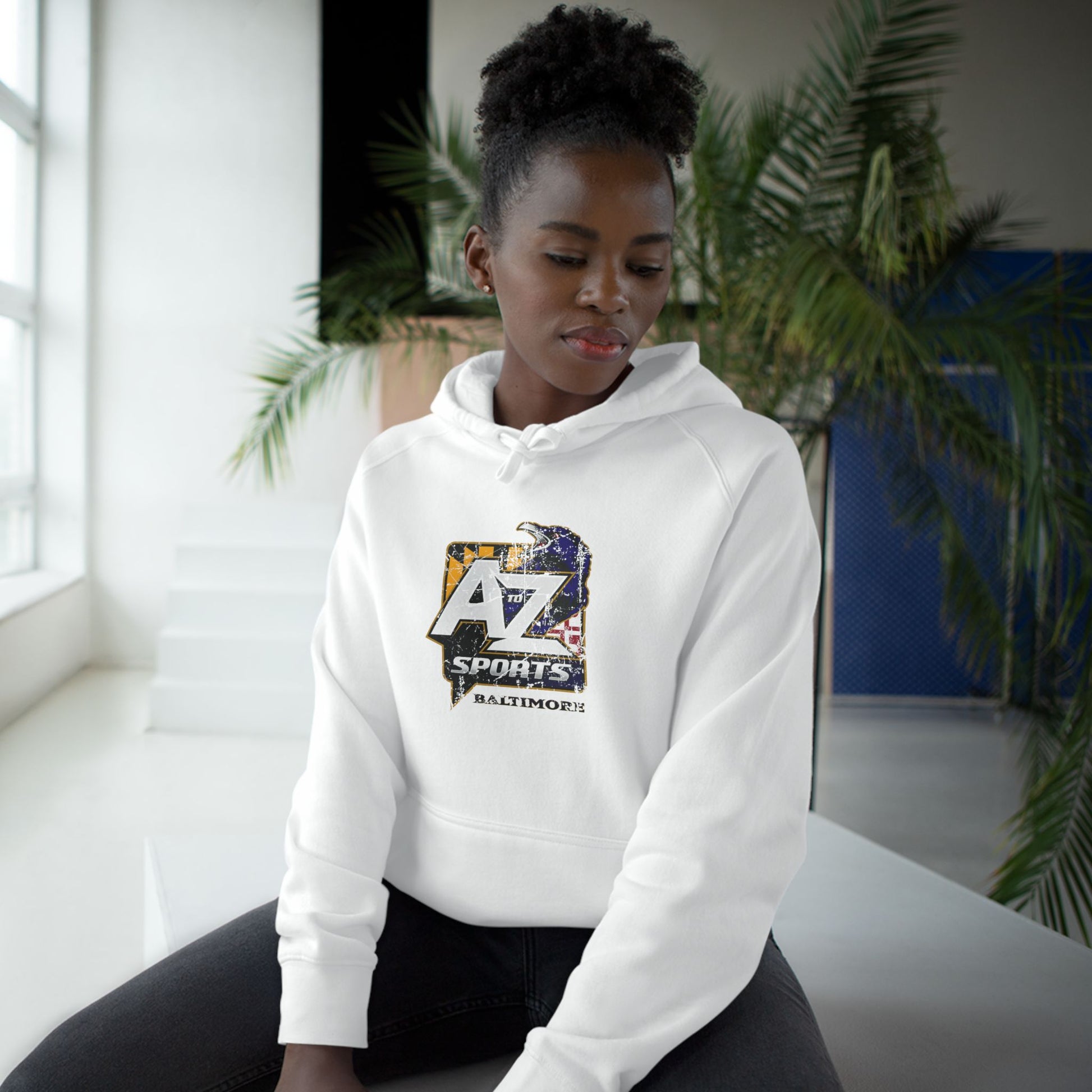 A to Z Sports Ravens Hoodie