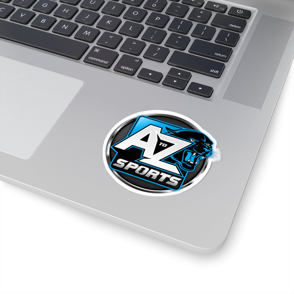 A to Z Sports Panthers Sticker