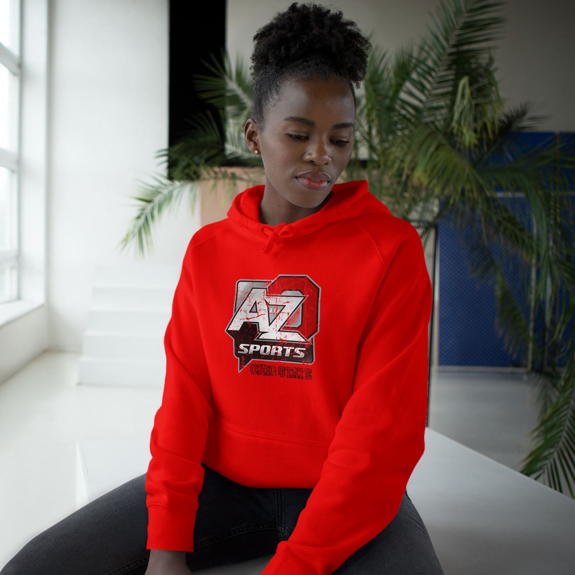 A to Z Sports Ohio State Distressed Hoodie