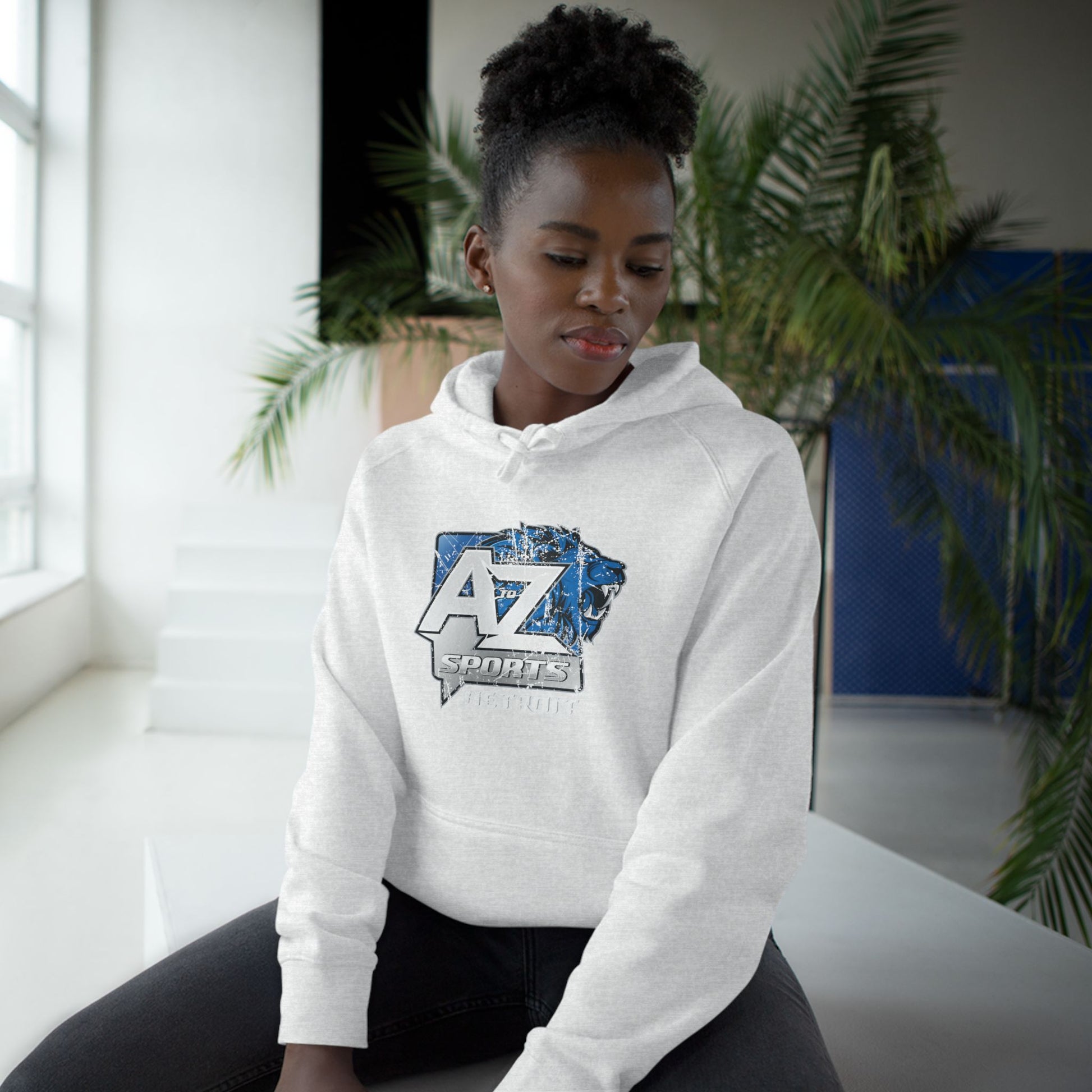 A to Z Sports Lions Distressed Hoodie