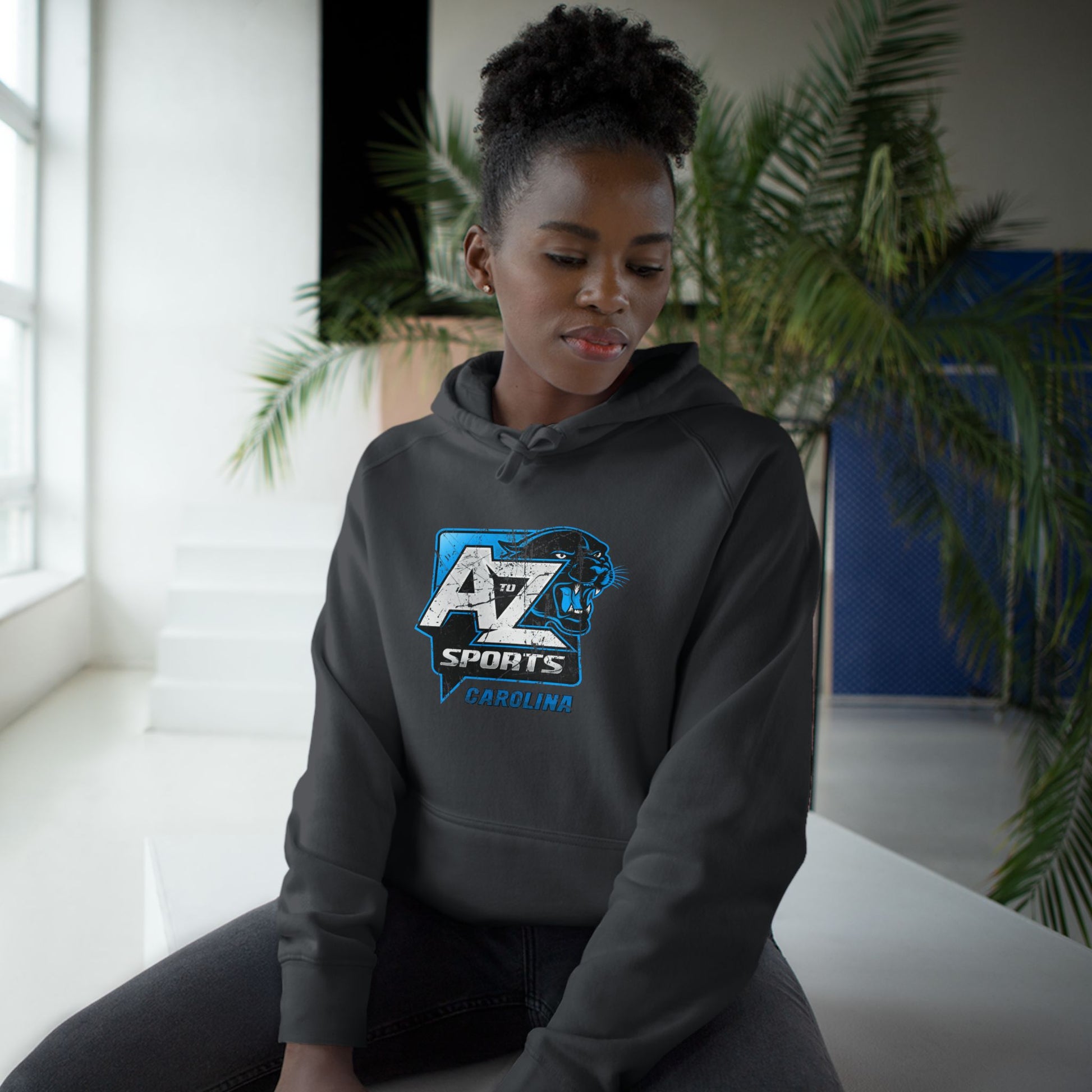 A to Z Sports Panthers Distressed Hoodie
